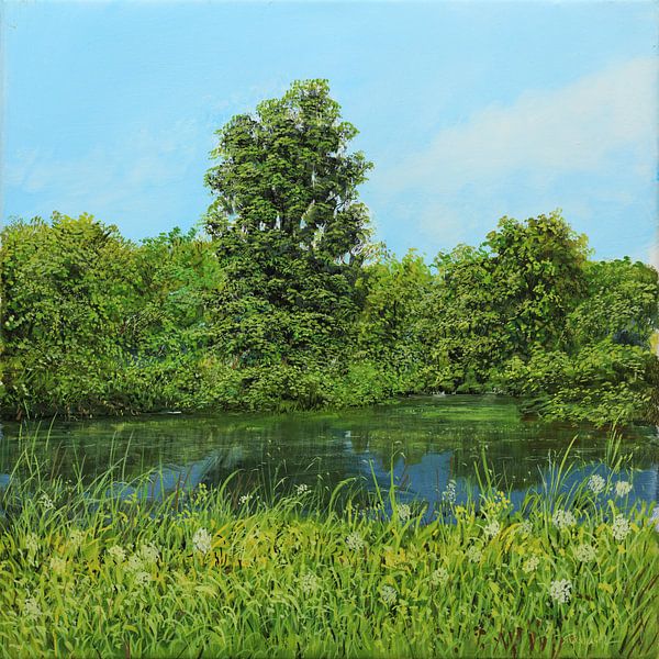 Kust Scène van Art Demo