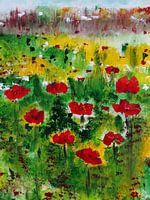 Blumen im Feld.