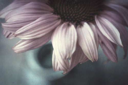 Komm mir auf halbem Weg entgegen