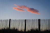 Roze wolk achter het hek van Mark Bolijn thumbnail