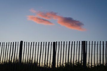 Rosa Wolke hinter dem Zaun