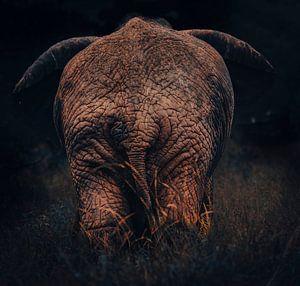 Big Ass. De oude van Tanzania