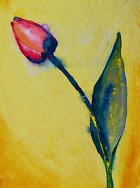 Tulp by Jessica van Schijndel