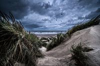The Old Coast