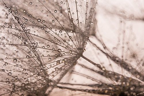 Abstract: Lijnenspel met druppels