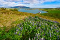 Het meer Þingvallavatn van Denis Feiner thumbnail