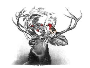 The Deer and the Bird von Marja van den Hurk