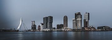 Rotterdam in een grauw jasje van Hendrik Karremans