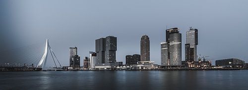 Rotterdam in a drab jacket