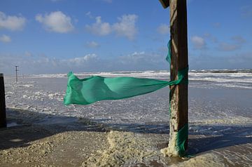 Wind van Corinna Vollertsen