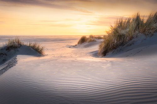Matinée calme dans les dunes de Terschelling. sur Marco Lok