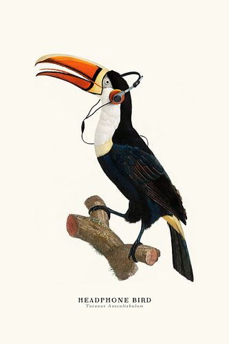 Headphone Bird by Jonas Loose