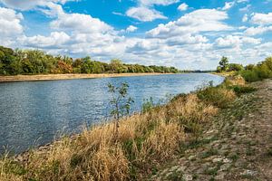 Blick über die Elbe in Magdeburg