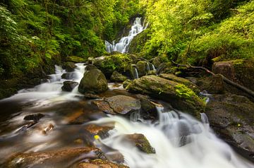 Killarney - Torc waterfall (Ierland) van Marcel Kerdijk