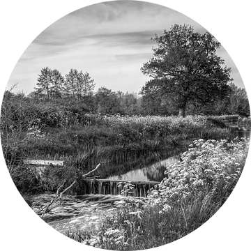 Roden Drenthe "De Loop" in zwart-wit van R Smallenbroek