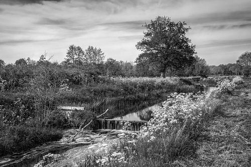 Roden Drenthe &quot;De Loop&quot; in zwart-wit