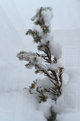 Abstracte fotografie | Minimalisme | Winterlandschap II