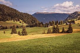 Seiser Alm von Rob Boon