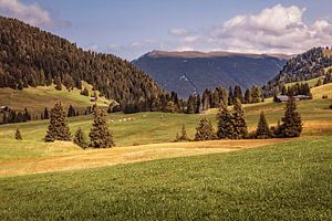 Seiser Alm
