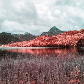 Infrarotlandschaft mit See und Alpen im Hintergrund von Hidden Light Gallery