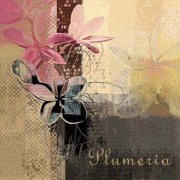 Plumeria - 167m4t3a