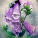 The color purple von Art by Jeronimo Miniaturansicht