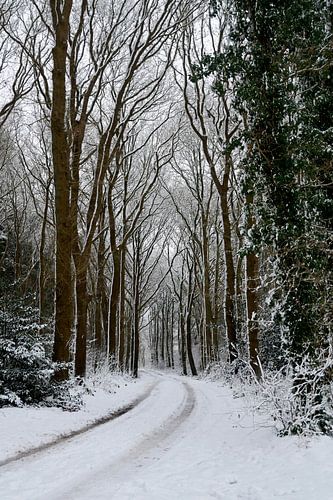 Winter in Baggelhuizen