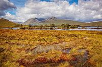 Scotland