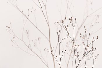 Wilde bloemen Natuurlijk beige