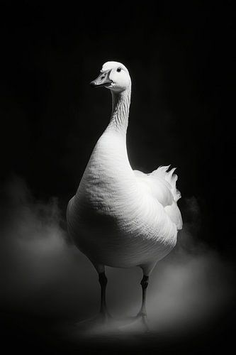 Gans