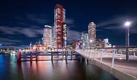 Rotterdam Rijnhaven bridge