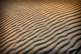 At the beach by Richard Marks