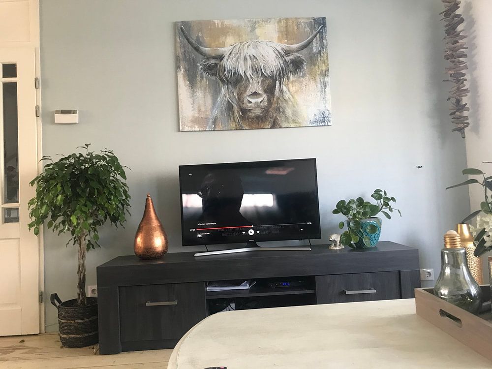 Highland Cow I, van Atelier Paint-Ing