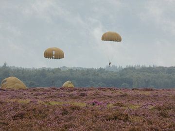 Airborne landings in Arnhem on the Ginkelse Heide van Veluws