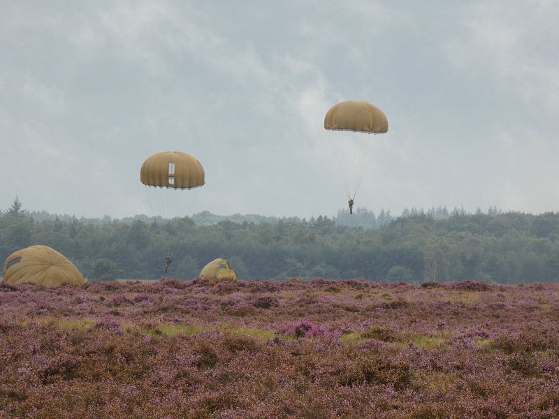 Airborne landings in Arnhem on the Ginkelse Heide von Veluws