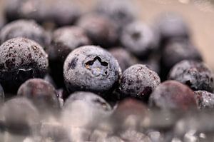 gefrorene Heidelbeeren