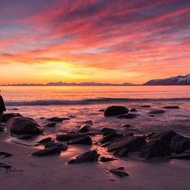 Sonnenaufgang am Strand von Gimsoy (Lofoten, Norwegen) von Heidi Bol