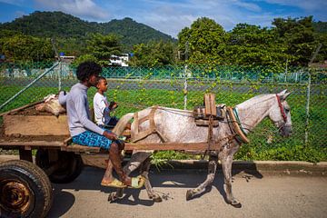 Transport per paard en wagen Colombia van Sonja Hogenboom