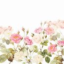Vintage - Oude Roze Engelse Rozen van Floral Abstractions thumbnail