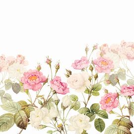 Vintage- Old Pink English Roses Meadow by Floral Abstractions