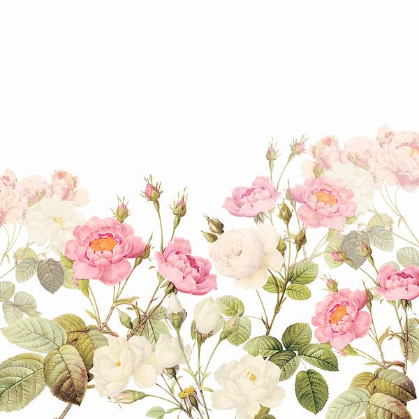 Vintage - Oude Roze Engelse Rozen van Floral Abstractions