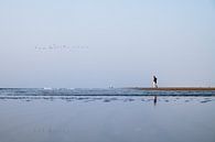 Strand von Michiel Wijnbergh Miniaturansicht