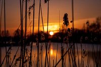 Red sunset on a creek