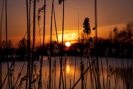 "Doorkijkje naar de vuurbal" van StephanvdLinde