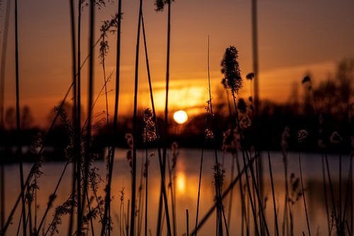 Coucher de soleil rouge sur un ruisseau