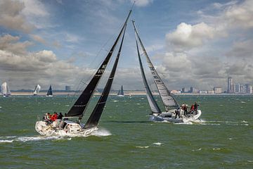 Segeln auf der Westerschelde von Lisette van Peenen