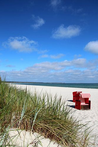 strand van Ostsee Bilder