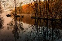 Morgendunst am See | Ochtendnevel op het meer