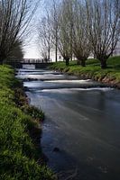Schönes Holländisches Bild im Frühjahr