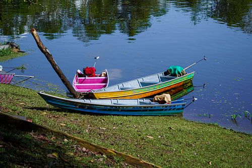 rivierboten in de amazone